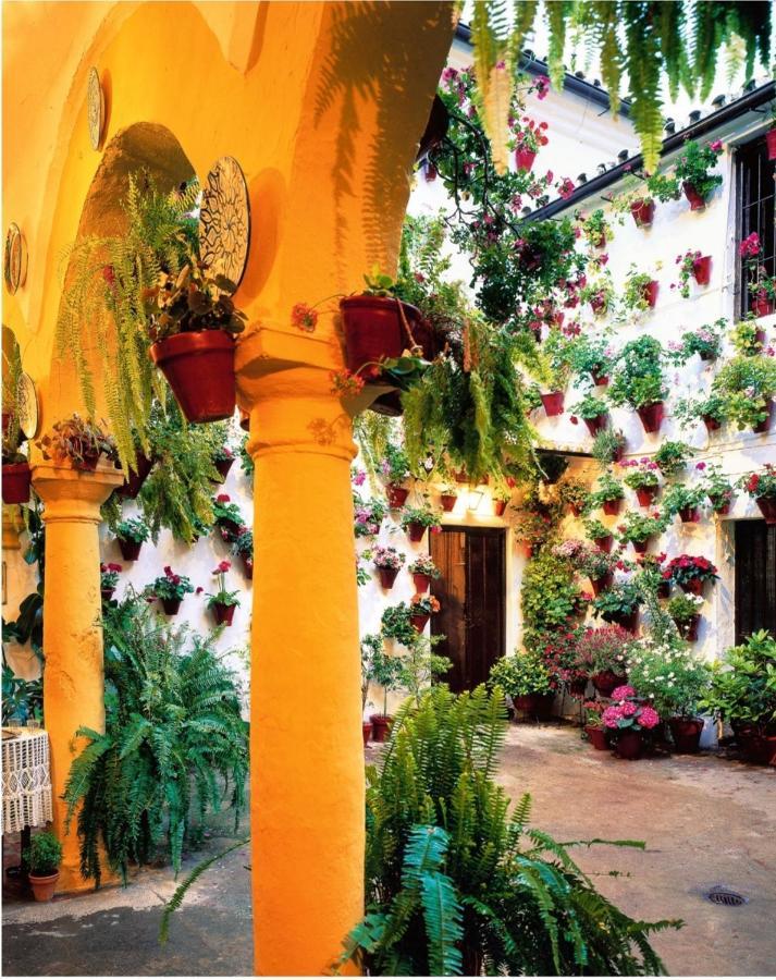 La Terraza Del Puente Y Mezqt-Catedral Apartment Cordoba Exterior photo